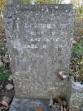 image of grave number 351760